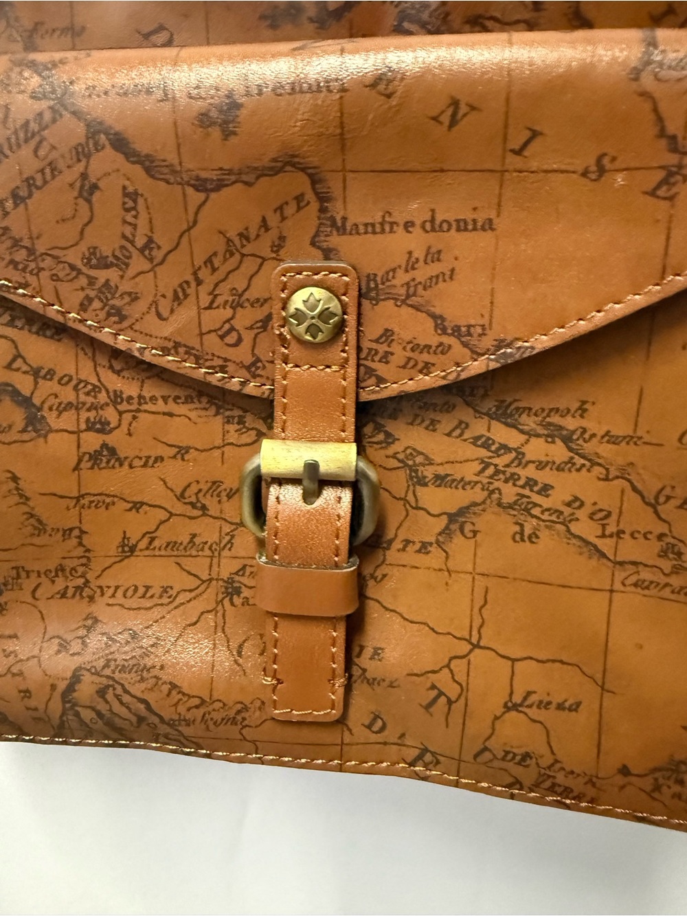 Patricia Nash Avellino Signature Riot Rust Crossbody